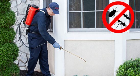 Eynesil Fare İlaçlama böcek ilaçlama ve haşere kontrolü — ilaclama-tr.com